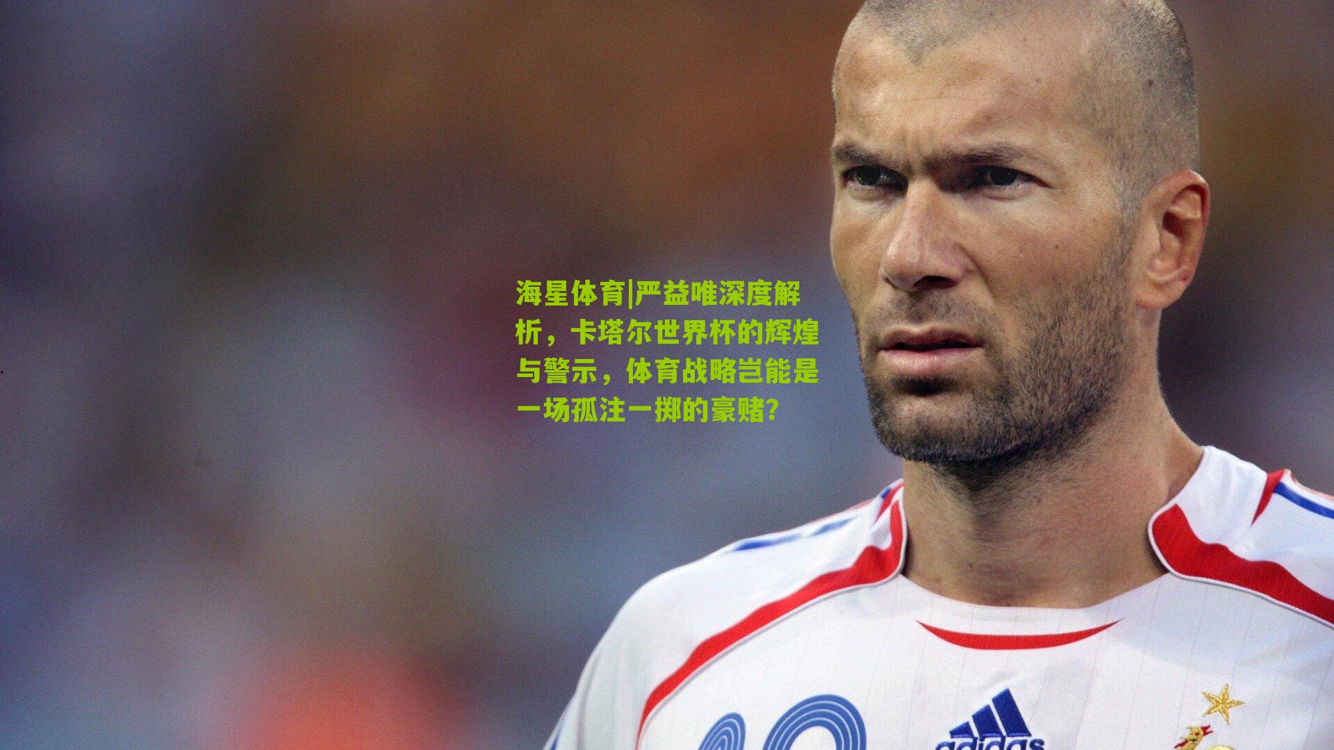 严益唯深度解析，卡塔尔世界杯的辉煌与警示，体育战略岂能是一场孤注一掷的豪赌？