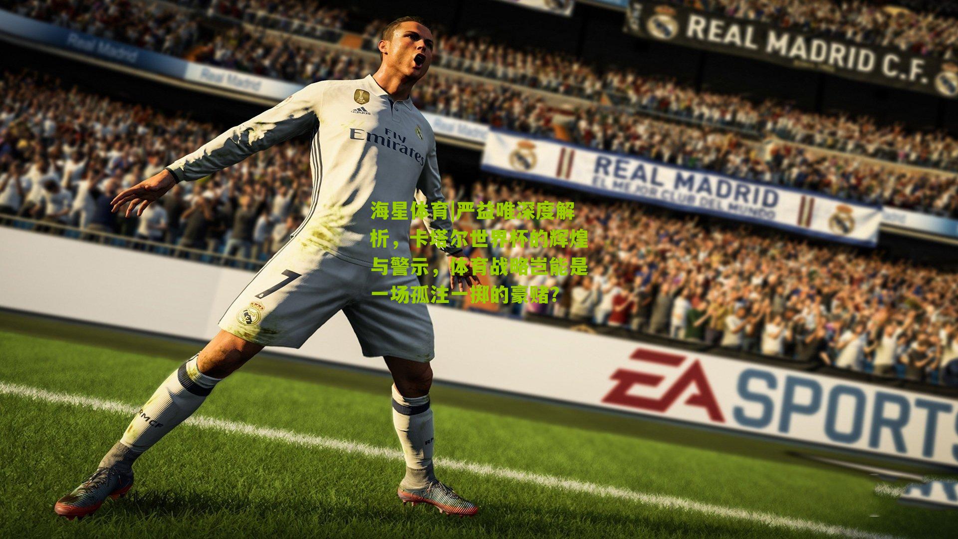 严益唯深度解析，卡塔尔世界杯的辉煌与警示，体育战略岂能是一场孤注一掷的豪赌？